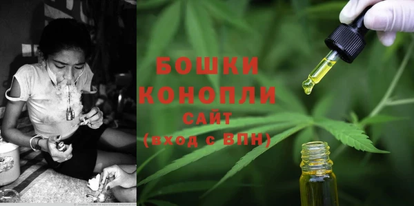 стафф Надым