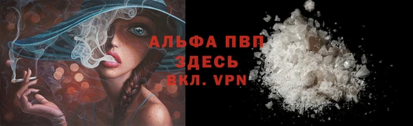 трава Наволоки
