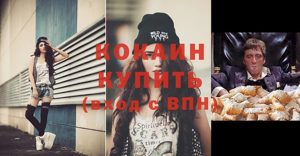 трава Наволоки