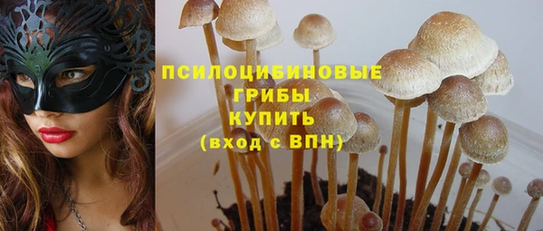 трава Наволоки